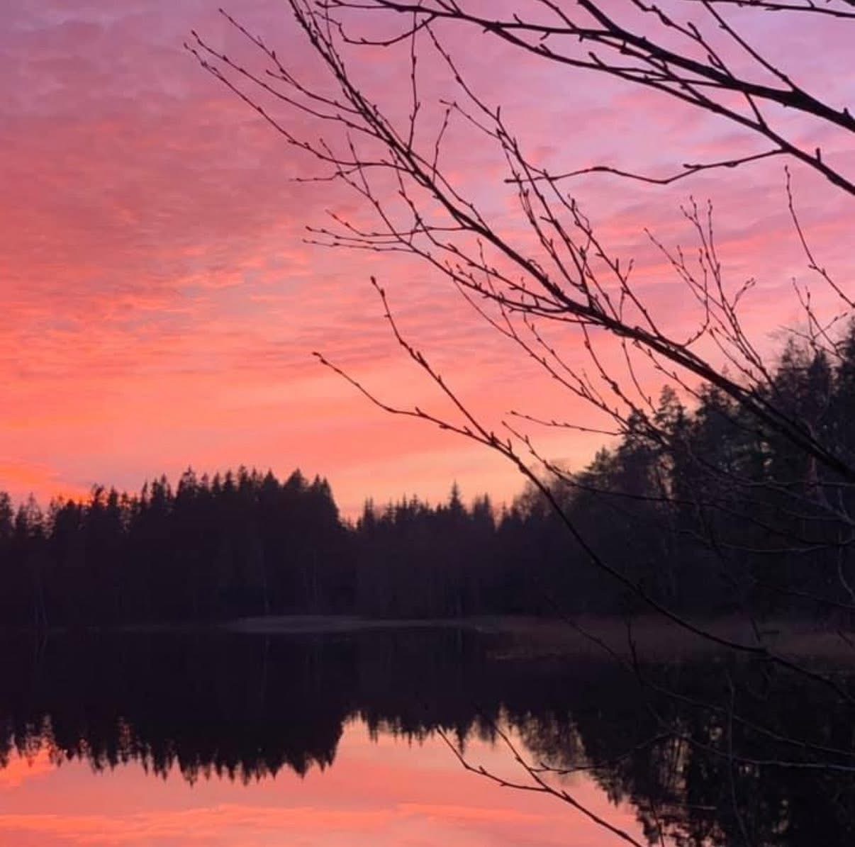 breathwork_kursus_sverige11