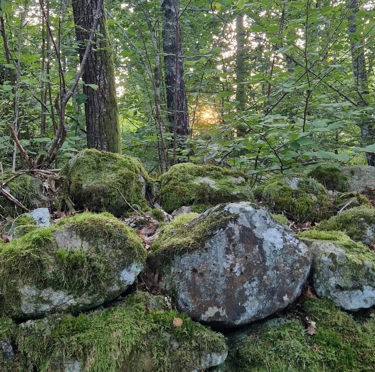 breathwork_kursus_sverige33