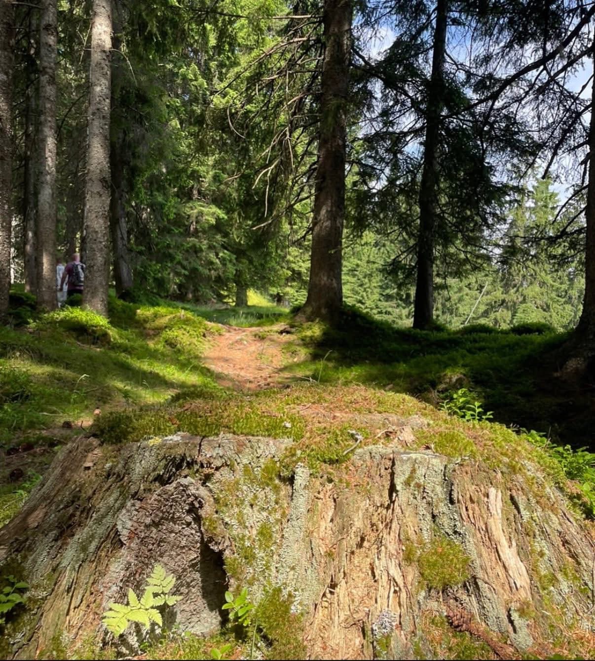 breathwork_kursus_sverige36